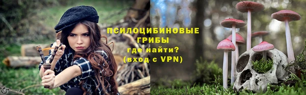 спайс Алексин