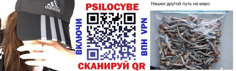 Галлюциногенные грибы Cubensis  как найти   Сургут 